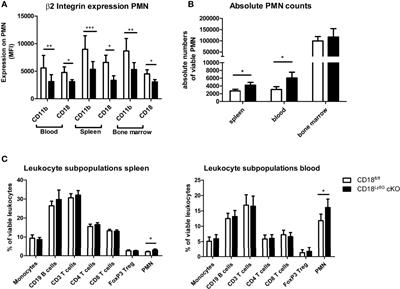 Neutrophil-Specific Knockdown of β2 Integrins Impairs Antifungal Effector Functions and Aggravates the Course of Invasive Pulmonal Aspergillosis